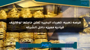 فرصة ذهبية: كهرباء البحيرة تعلن حاجتها لوظائف قيادية مميزة داخل الشركة